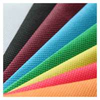 parallel cross 100 polyester spunlaced non woven fabric manufacturer for disposable mop from China